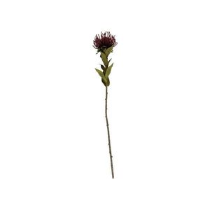 Umelá kvetina (výška 60 cm) Protea – PT LIVING vyobraziť