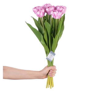 Umelé kvety v súprave 10 ks (výška 38 cm) Tulips – AmeliaHome vyobraziť