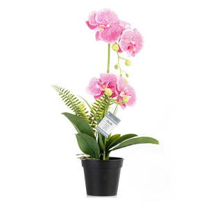 Umelý kvet (výška 55 cm) Orchid – AmeliaHome vyobraziť