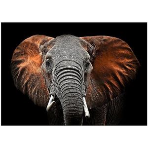 Obraz Glasspik Animals3 70X100 SG GL249 Red Elephant vyobraziť