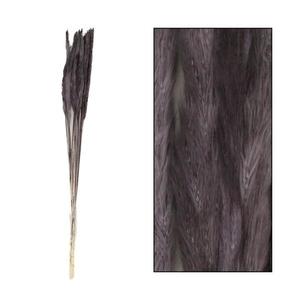Umelá čierna pampová tráva 65-75 cm vyobraziť