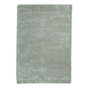 Svetlozelený koberec 160x220 cm Sierra – Think Rugs vyobraziť