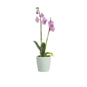 Keramický kvetináč ø 14 cm Thalia – Artevasi vyobraziť