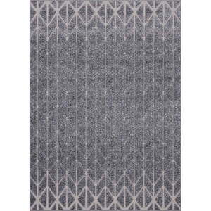 Sivý koberec 200x280 cm Hill – FD vyobraziť