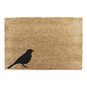 Rohožka z kokosového vlákna 40x60 cm Bird – Artsy Doormats vyobraziť