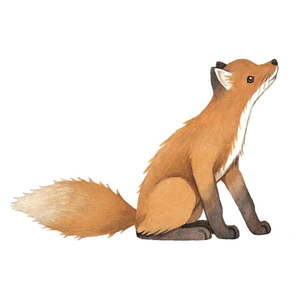 Detská samolepka 43, 5x45 cm Vintage Fox – Lilipinso vyobraziť