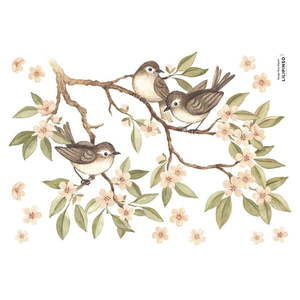 Hárok samolepiek 30x42 cm Branch And Sparrows – Lilipinso vyobraziť