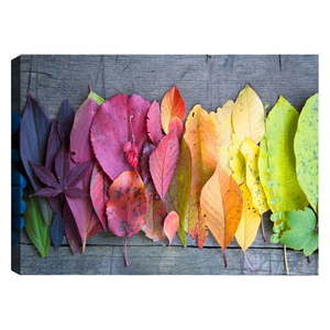 Obraz Tablo Center Autumn Palette, 100 × 70 cm vyobraziť