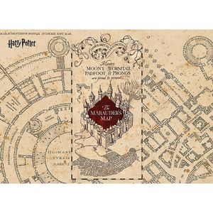 Detská fototapeta Harry Potter Marauders Map 252 x 182 cm, 4 diely vyobraziť