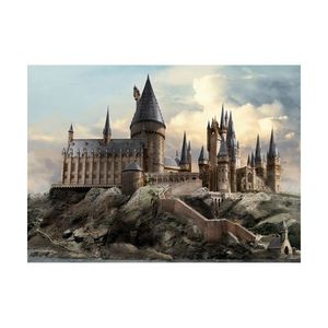 Detská fototapeta Harry Potter Hogwarts 252 x 182 cm, 4 diely vyobraziť
