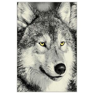 Sconto Koberec KOLIBRI 5 vlk sivý, 133x190 cm vyobraziť