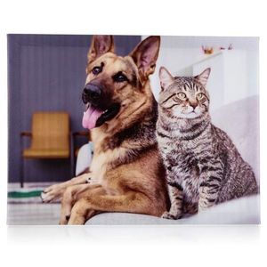Sconto Obraz na plátne DOG AND CAT II 40x30 cm, motív pes s mačkou vyobraziť