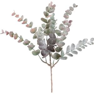 DEKORAČNÁ VETVIČKA Eukalyptuszweig I -Paz- vyobraziť