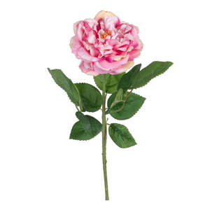 Umelá kvetina (výška 43 cm) Rose – Ixia vyobraziť