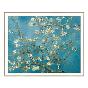 Obraz 40x50 cm Van Gogh: Almond Blossoms vyobraziť