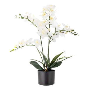 Umelá kvetina (výška 84 cm) Orchid – Bloomingville vyobraziť