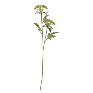 Umelá rastlina (výška 49 cm) Throatwort – Bloomingville vyobraziť