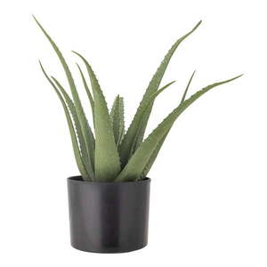 Umelá rastlina (výška 61 cm) Aloe – Bloomingville vyobraziť