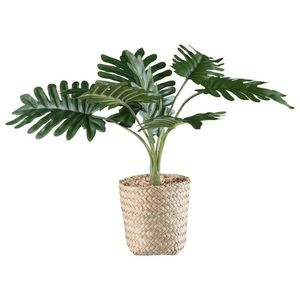 Umelá Rastlina Philodendron Ii vyobraziť