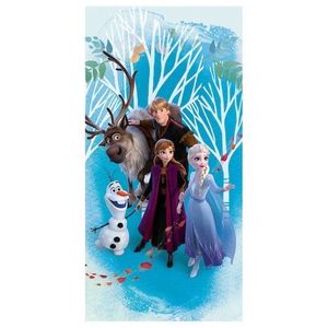 Jerry Fabrics Osuška Ľadové kráľovstvo Frozen 2 blue, 70 x 140 cm vyobraziť