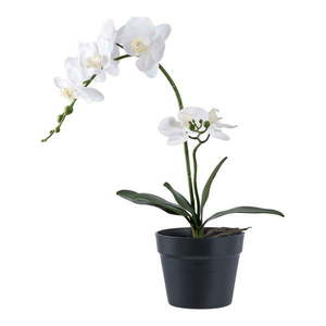 Umelá kvetina (výška 47 cm) Orchid – House Nordic vyobraziť