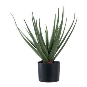 Umelá rastlina (výška 51 cm) Aloe Vera – House Nordic vyobraziť