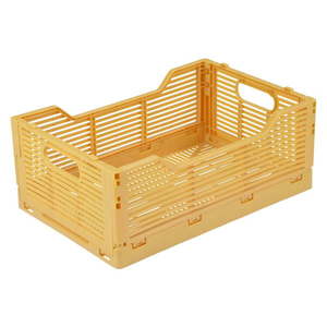 Okrovožltý plastový úložný box 30x20x11.5 cm – Homéa vyobraziť