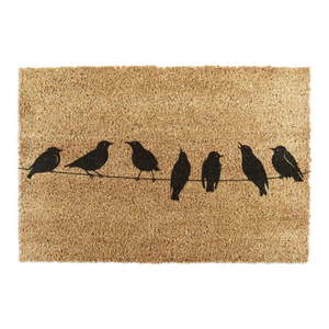 Rohožka z kokosového vlákna 40x60 cm Birds On a Wire – Artsy Doormats vyobraziť