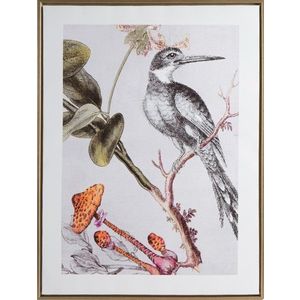 ArtFir Obraz BIRD 636 | biela 45 x 60 cm vyobraziť