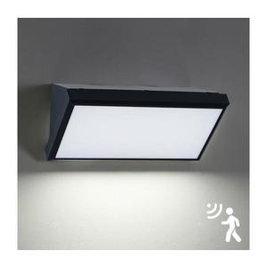 Brilagi Brilagi - LED Vonkajšie nástenné svietidlo so senzorom TRIANGLE LED/20W/230V IP65 vyobraziť