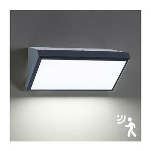 Brilagi Brilagi - LED Vonkajšie nástenné svietidlo so senzorom TRIANGLE LED/20W/230V IP65 vyobraziť