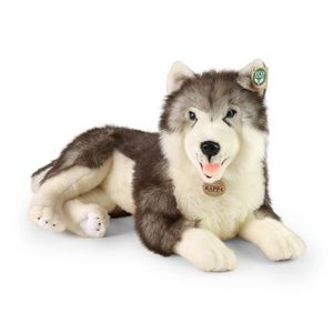 Rappa Plyšový pes husky ležiaci 60 cm vyobraziť