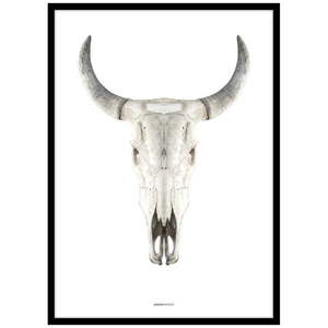 Plagát v ráme 50x70 cm Cow Skull – Malerifabrikken vyobraziť