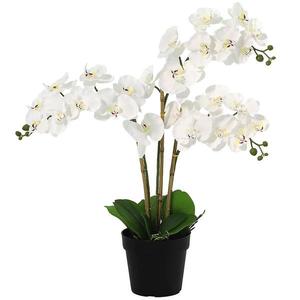 Umelá orchidea 3-puková Planta Artf v kvetináči 90 cm vyobraziť