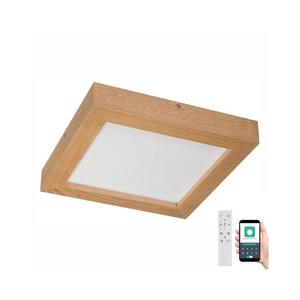 Brilagi Brilagi-LED Stmievateľné svietidlo WOODY FRAME LED/24W/230V dub 30x30 cm IP44 + DO vyobraziť