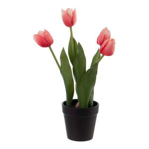 Umelý kvet (výška 31 cm) Tulips – Ixia vyobraziť