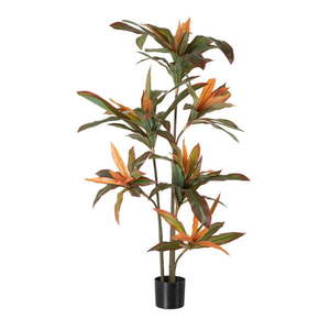 Umelá rastlina (výška 140 cm) Dracena – Ixia vyobraziť