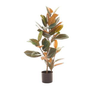 Umelý fikus (výška 90 cm) Ficus – Ixia vyobraziť