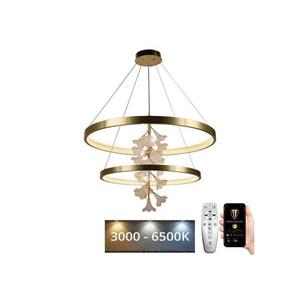 LED Stmievateľný luster na lanku LED/100W/230V 3000-6500K + diaľkové ovládanie vyobraziť