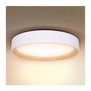 Brilagi Brilagi -LED Stmievateľné svietidlo LARIOS LED/48W/230V 3000-6500K ø 39 cm biela+DO vyobraziť