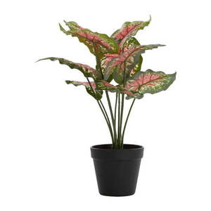 Umelá rastlina (výška 40 cm) Caladium – Light & Living vyobraziť