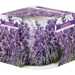 Vonná sviečka v skle Lavender 100 g, 7, 2 cm vyobraziť