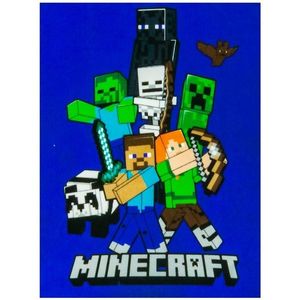 Carbotex Detská deka Minecraft Time to Mine, 100 x 140 cm vyobraziť