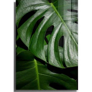 Sklenený obraz 50x70 cm Monstera - Wallity vyobraziť