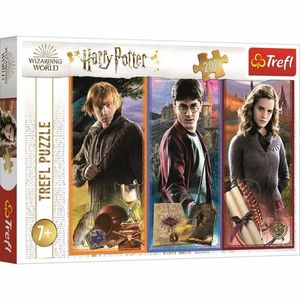 TREFL Harry Potter: Ve světě magie a kouzel 200 dílků vyobraziť