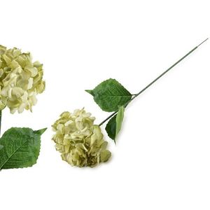 Umělá květina VIRIDIS HORTENSIA 73 cm bílá/zelená vyobraziť