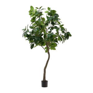 Umelý fikus (výška 210 cm) Ficus – Kave Home vyobraziť