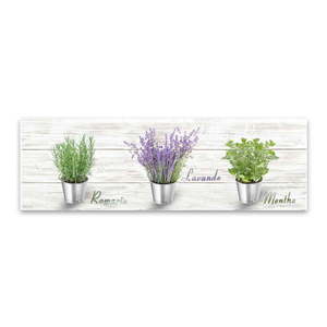Obraz Styler Canvas Shabby Herbs, 27 × 75 cm vyobraziť