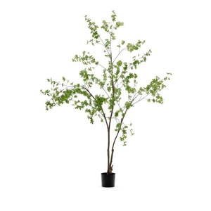 Umelá rastlina (výška 214 cm) Enkianthus – Kave Home vyobraziť
