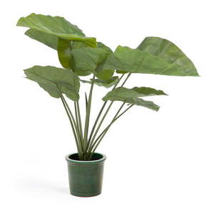Umelá rastlina (výška 57 cm) Odora – Kave Home vyobraziť